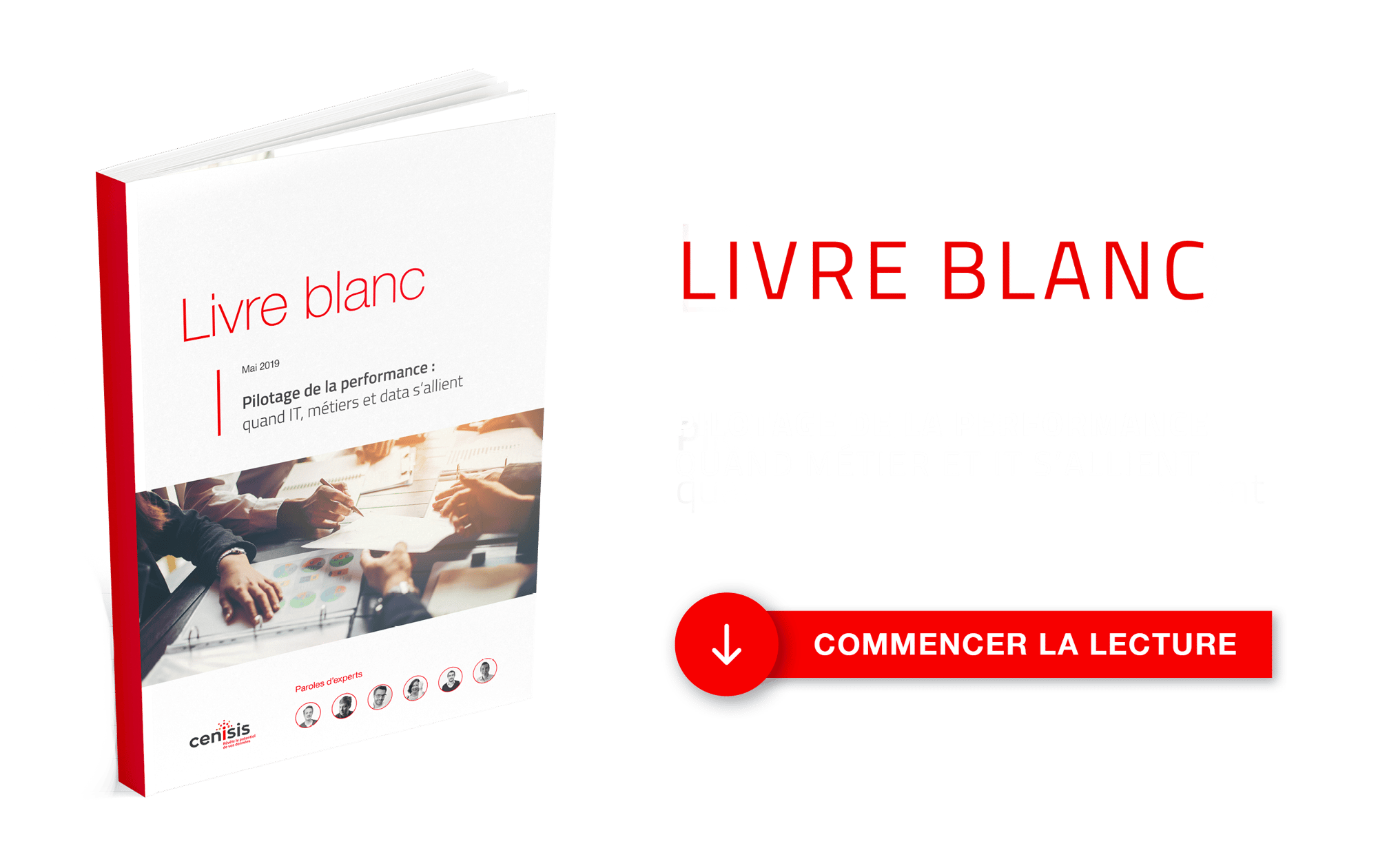 CTA_Livre Blanc - Cenisis - Pilotage de la performance, blanc 3